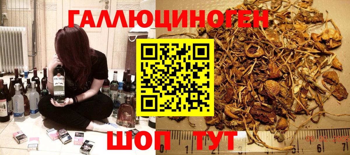 Псилоцибиновые грибы Magic Shrooms Горячий Ключ
