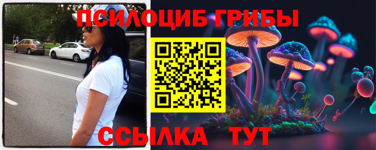Псилоцибиновые грибы Psilocybine cubensis  Псилоцибиновые грибы Magic Shrooms  Вход с VPN  Горячий Ключ 